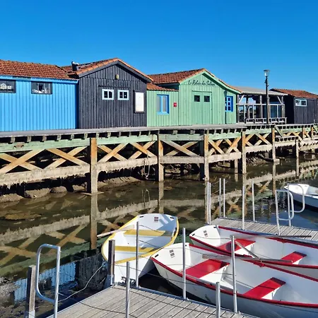 Apartment 1 Bedroom Amazing In *