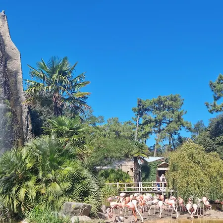 Apartment 1 Bedroom Amazing In