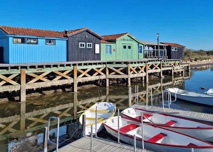 Apartment 1 Bedroom Amazing In *