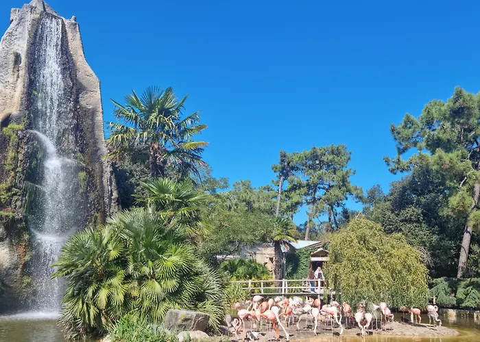 Apartment 1 Bedroom Amazing In